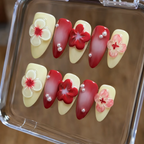 Set of red and beige floral nail art designs in a clear display case.